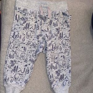 Splendid jogger sweat pants